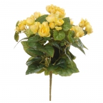 Begonia h37cm geel